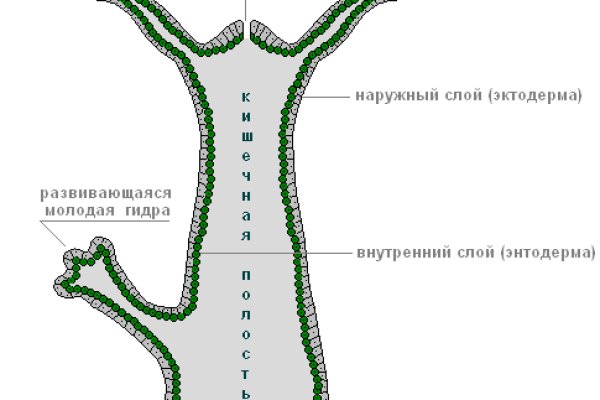 Darknet ссылка кракен kraken014 com